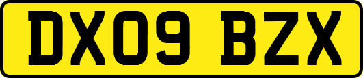 DX09BZX