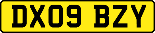 DX09BZY