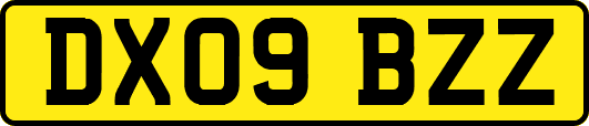 DX09BZZ