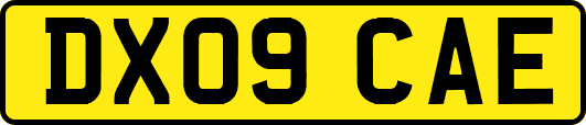 DX09CAE
