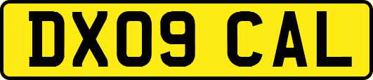 DX09CAL