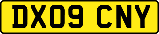 DX09CNY