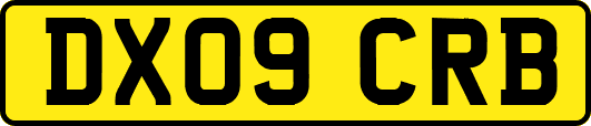 DX09CRB