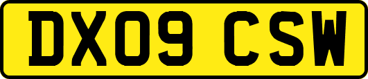 DX09CSW