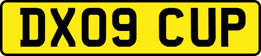DX09CUP