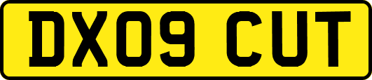 DX09CUT