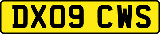 DX09CWS