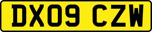 DX09CZW
