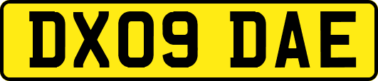 DX09DAE
