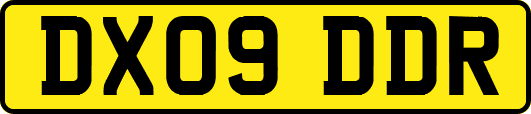 DX09DDR