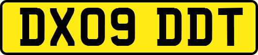 DX09DDT