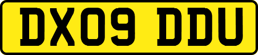 DX09DDU