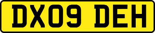 DX09DEH