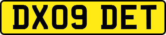 DX09DET