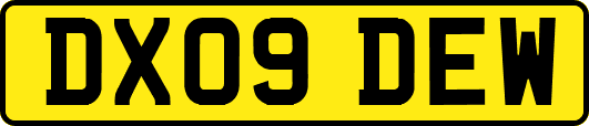 DX09DEW