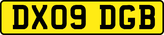 DX09DGB