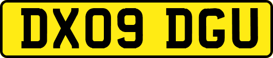 DX09DGU