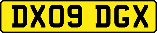 DX09DGX