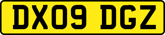 DX09DGZ