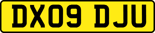 DX09DJU