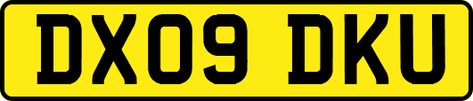 DX09DKU