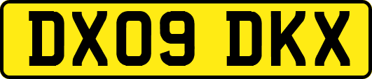 DX09DKX
