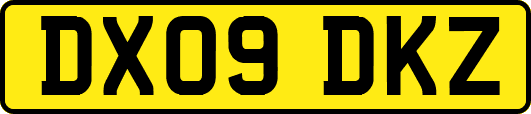 DX09DKZ