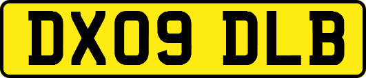 DX09DLB