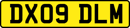 DX09DLM