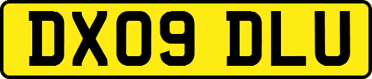 DX09DLU