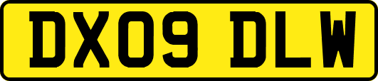 DX09DLW