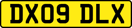DX09DLX