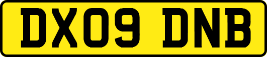 DX09DNB