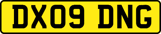 DX09DNG