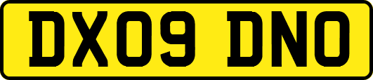 DX09DNO