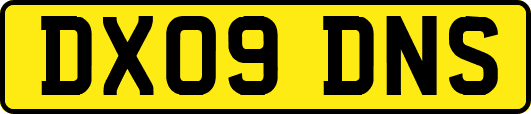 DX09DNS