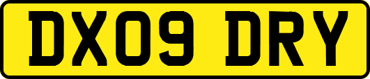 DX09DRY