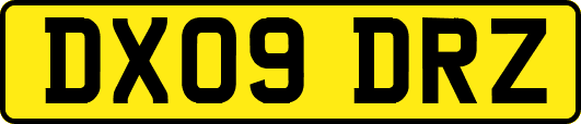 DX09DRZ