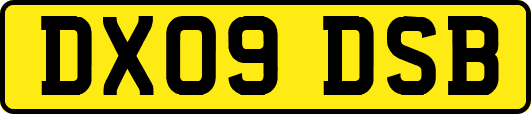 DX09DSB