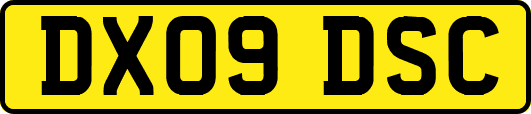 DX09DSC
