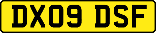DX09DSF