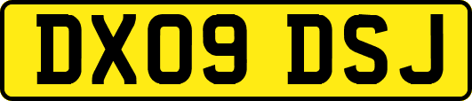 DX09DSJ
