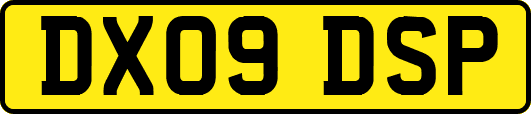 DX09DSP