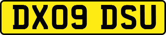 DX09DSU