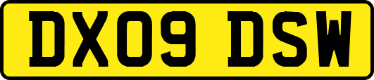 DX09DSW