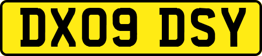 DX09DSY