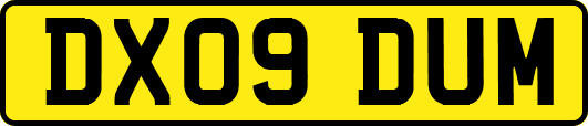 DX09DUM