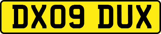 DX09DUX