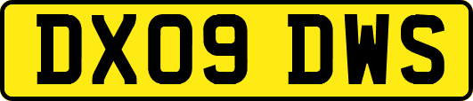 DX09DWS