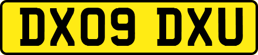 DX09DXU